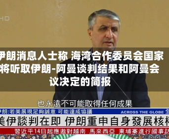 伊朗消息人士称 海湾合作委员会国家将听取伊朗-阿曼谈判结果和阿曼会议决定的简报