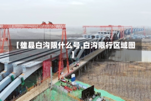 【雄县白沟限什么号,白沟限行区域图】