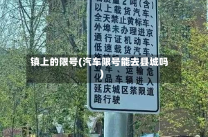 镇上的限号(汽车限号能去县城吗)