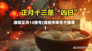 濮阳正月13限号(濮阳市限号不限号)
