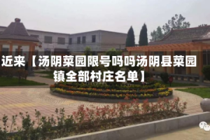 近来【汤阴菜园限号吗吗汤阴县菜园镇全部村庄名单】