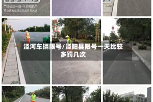 泾河车辆限号/泾阳县限号一天比较多罚几次