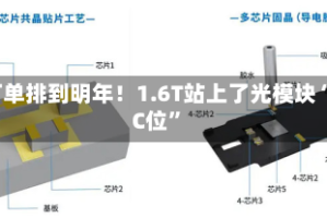 订单排到明年！1.6T站上了光模块“C位”