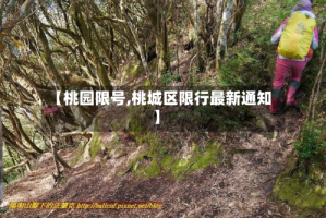 【桃园限号,桃城区限行最新通知】