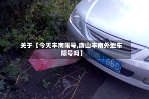 关于【今天丰南限号,唐山丰南外地车限号吗】