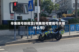辛集限号新规定(辛集限号查询今天限什么号)