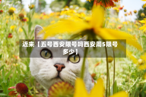 近来【五号西安限号吗西安周5限号多少】