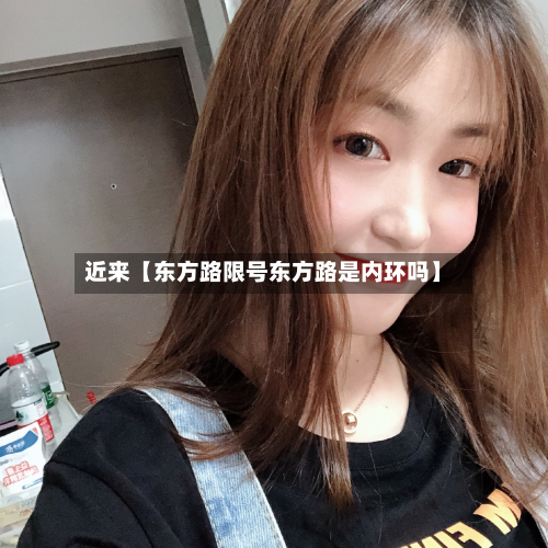 近来【东方路限号东方路是内环吗】-第3张图片