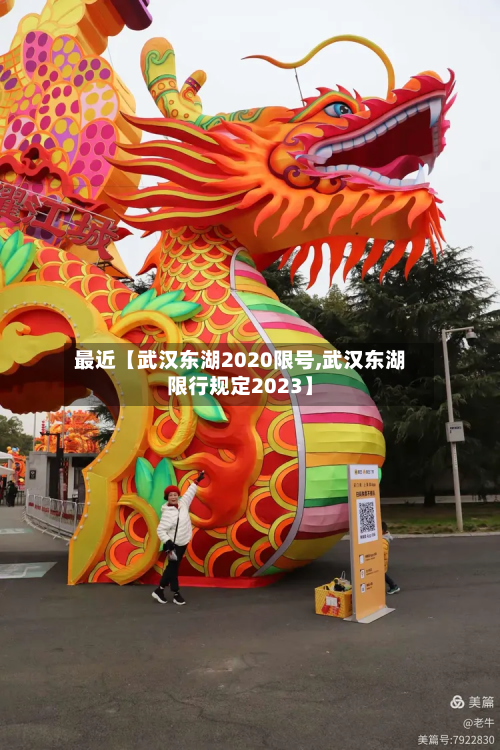 最近【武汉东湖2020限号,武汉东湖限行规定2023】-第3张图片