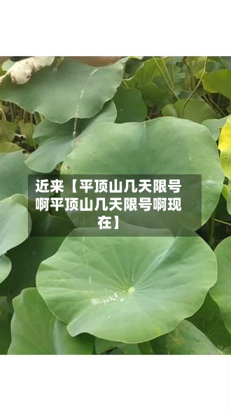 近来【平顶山几天限号啊平顶山几天限号啊现在】-第1张图片
