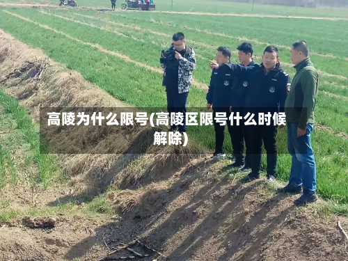 高陵为什么限号(高陵区限号什么时候解除)-第1张图片