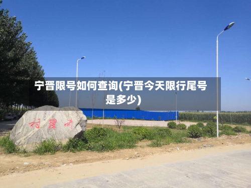 宁晋限号如何查询(宁晋今天限行尾号是多少)-第3张图片
