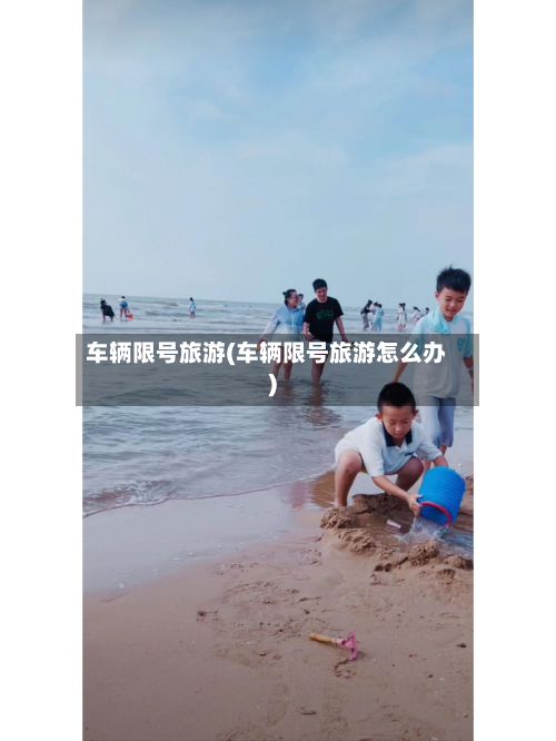 车辆限号旅游(车辆限号旅游怎么办)-第1张图片