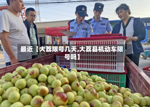 最近【大荔限号几天,大荔县机动车限号吗】-第3张图片