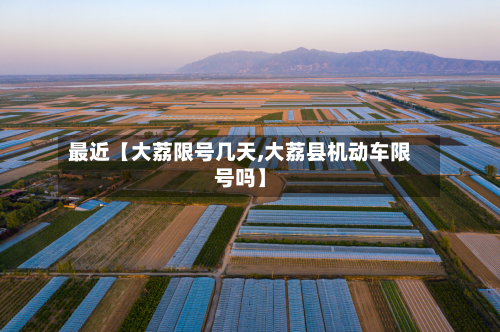 最近【大荔限号几天,大荔县机动车限号吗】-第2张图片