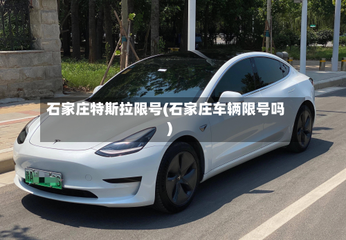 石家庄特斯拉限号(石家庄车辆限号吗)-第2张图片