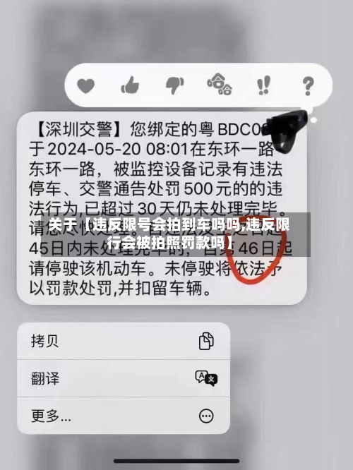 关于【违反限号会拍到车吗吗,违反限行会被拍照罚款吗】-第3张图片