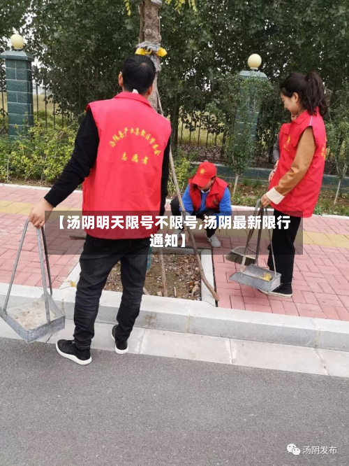 【汤阴明天限号不限号,汤阴最新限行通知】-第2张图片