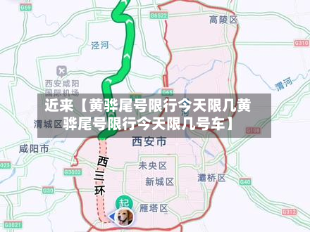 近来【黄骅尾号限行今天限几黄骅尾号限行今天限几号车】-第2张图片