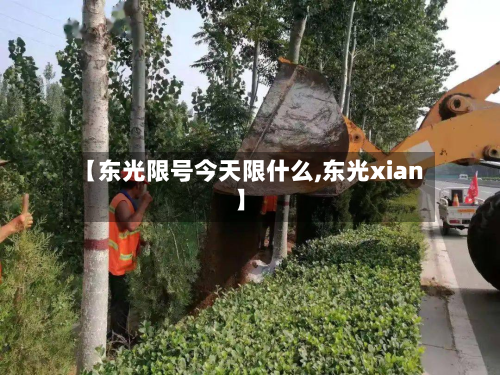 【东光限号今天限什么,东光xian】-第1张图片