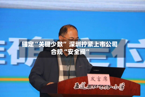 锚定“关键少数	” 深圳拧紧上市公司合规“安全阀”-第1张图片