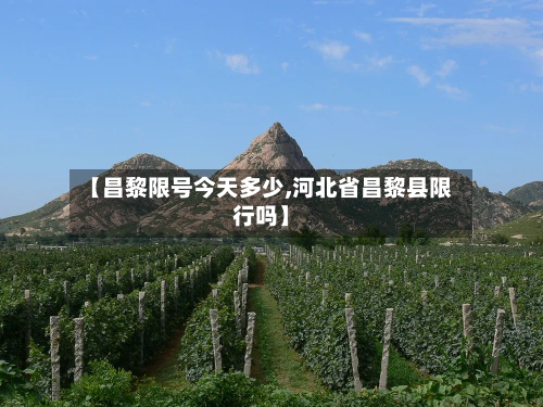 【昌黎限号今天多少,河北省昌黎县限行吗】-第2张图片