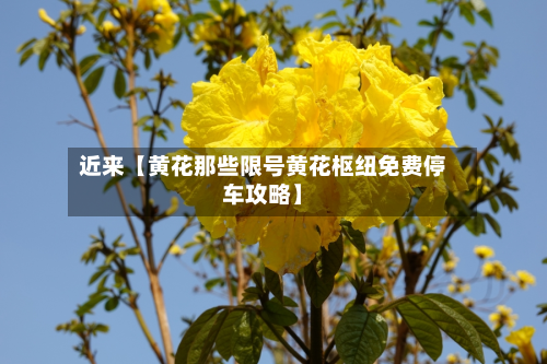 近来【黄花那些限号黄花枢纽免费停车攻略】-第1张图片
