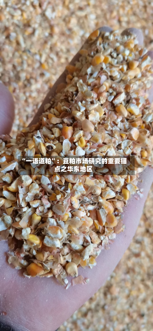 “一语道粕”：豆粕市场研究的重要锚点之华东地区-第2张图片