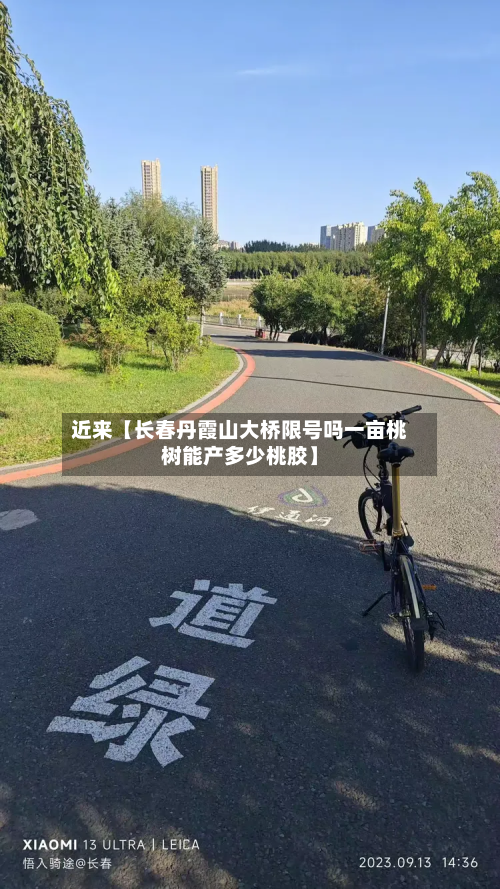 近来【长春丹霞山大桥限号吗一亩桃树能产多少桃胶】-第3张图片